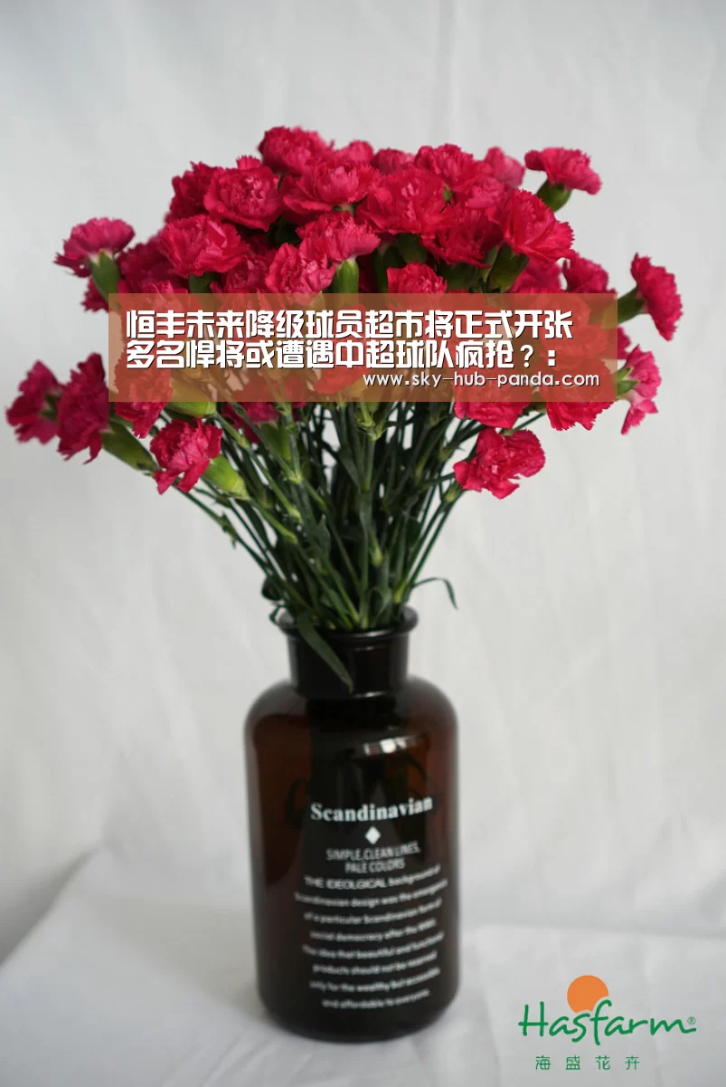 恒丰未来降级球员超市将正式开张 多名悍将或遭遇中超球队疯抢?:熊猫体育(图4) 熊猫官方