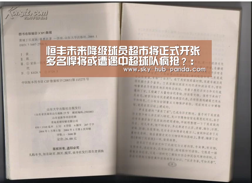 恒丰未来降级球员超市将正式开张 多名悍将或遭遇中超球队疯抢?:熊猫体育(图1) 熊猫体育官网