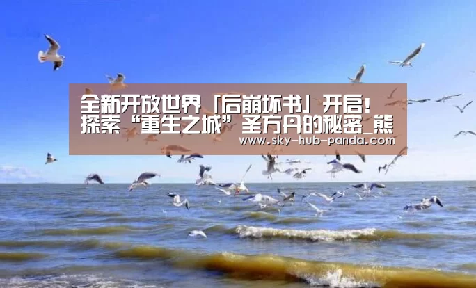 熊猫体育官网