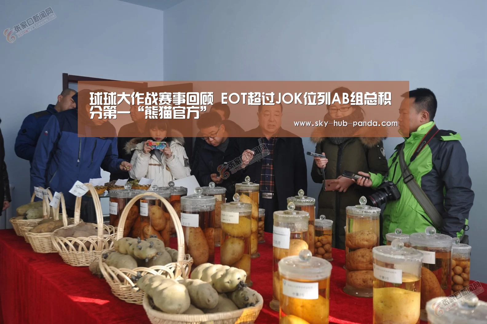熊猫体育官网