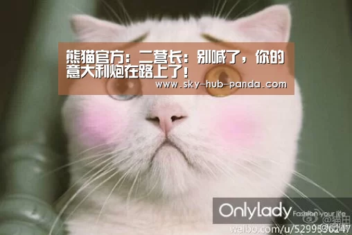 熊猫体育