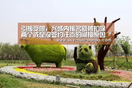 引援受限,兴城内援名额被扣除两个或是没签约汪嵩的间接原因‘熊猫体育’(图2) 熊猫体育官网