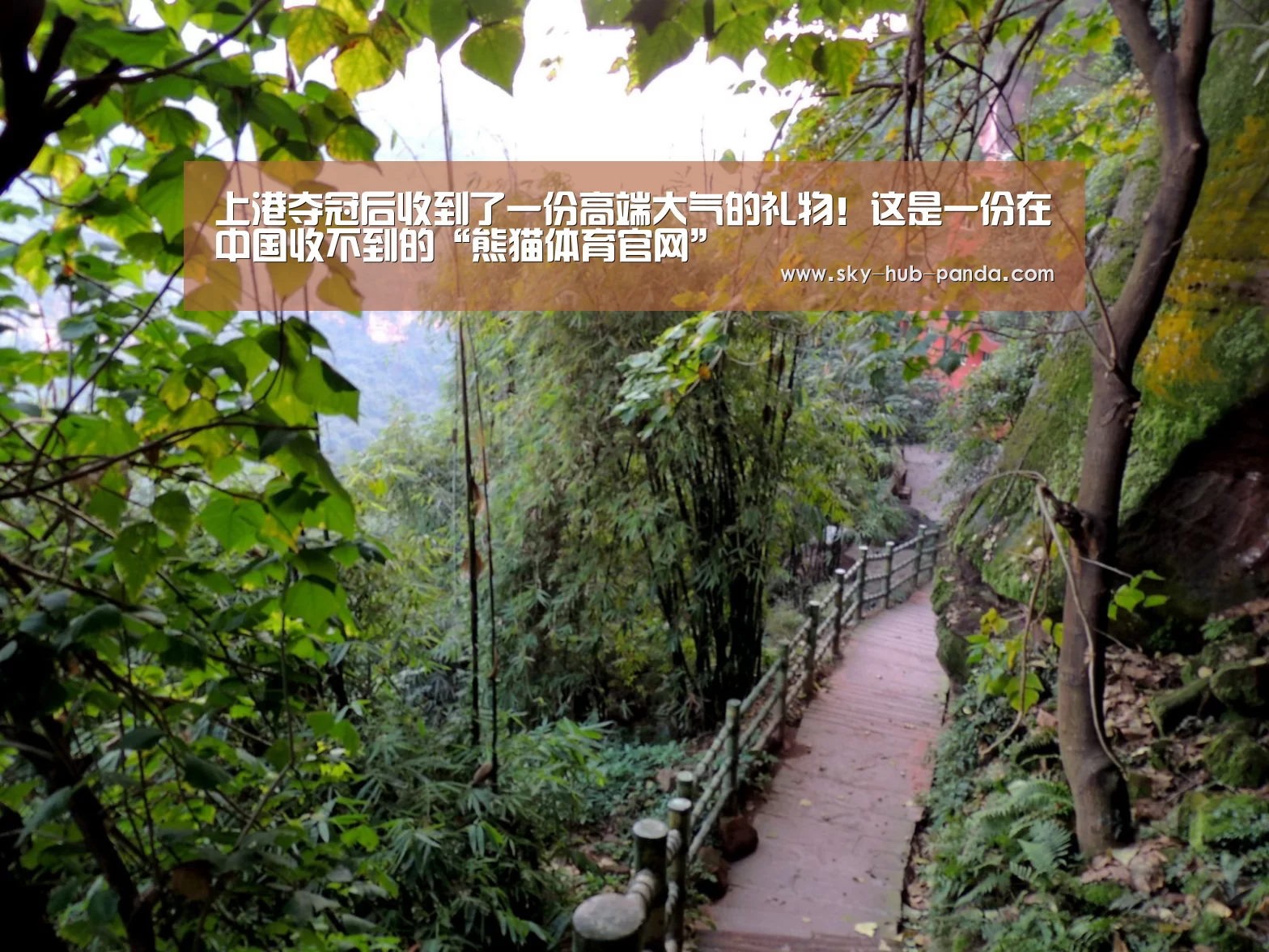 上港夺冠后收到了一份高端大气的礼物!这是一份在中国收不到的“熊猫体育官网”(图1) 熊猫体育官网