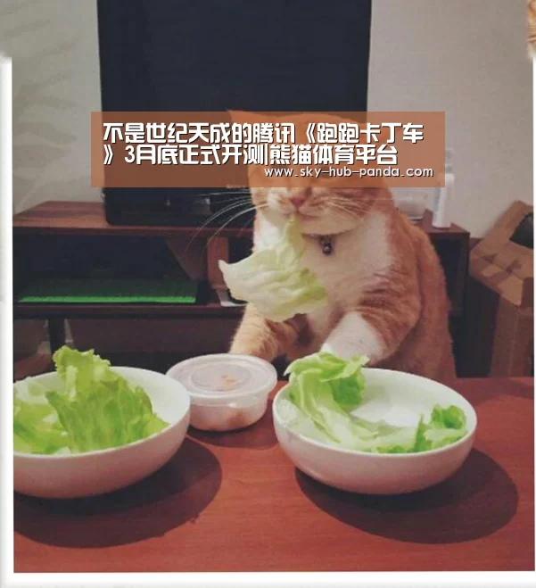 熊猫体育