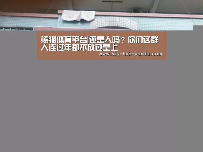 熊猫体育