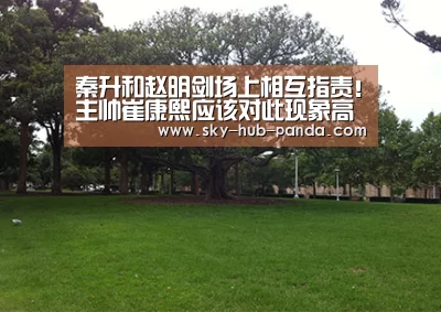 秦升和赵明剑场上相互指责!主帅崔康熙应该对此现象高度重视!_熊猫官方(图3) 熊猫体育官网