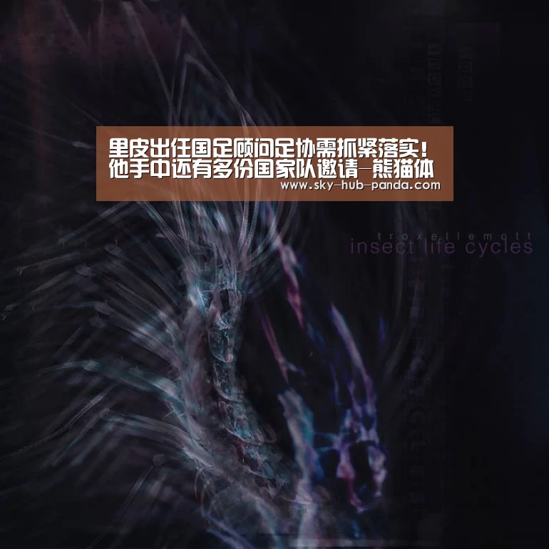 里皮出任国足顾问足协需抓紧落实!他手中还有多份国家队邀请-熊猫体育(图1) 熊猫官方