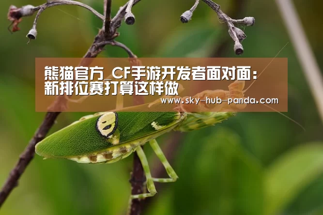 熊猫体育官网