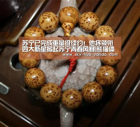 苏宁已完成重量级续约!他将领衔四大新星掀起苏宁青春风暴|熊猫体育(图1) 熊猫体育