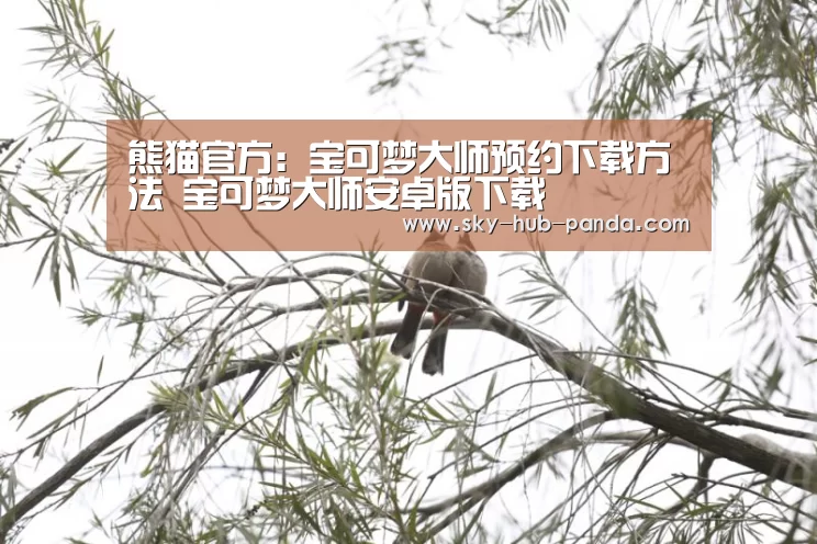 熊猫官方:宝可梦大师预约下载方法 宝可梦大师安卓版下载(图3) 熊猫体育平台