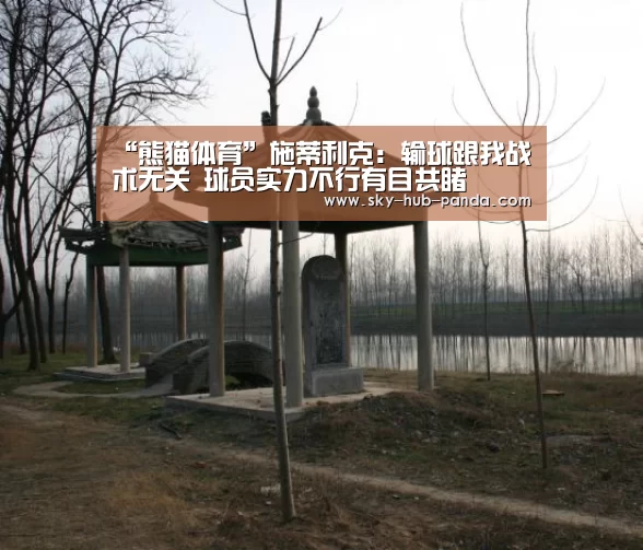 “熊猫体育”施蒂利克:输球跟我战术无关 球员实力不行有目共睹(图1) 熊猫体育官网