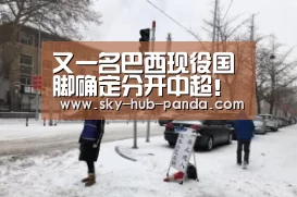 又一名巴西现役国脚确定分开中超!为了世界杯年薪直降93%!-熊猫体育(图1) 熊猫体育