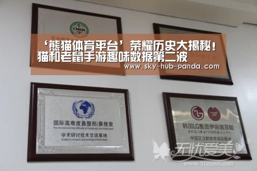 熊猫体育官网