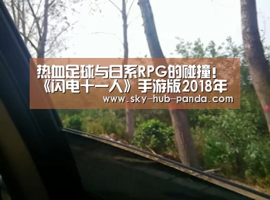 熊猫体育